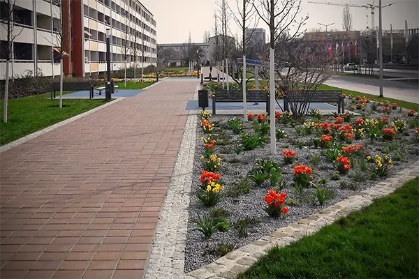 Erstellen von Pflanzanlagen