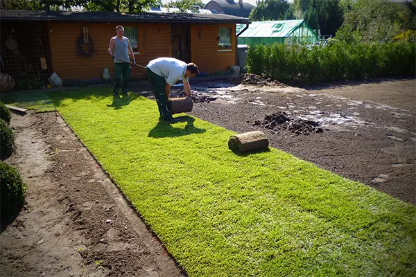 Verlegen von Rollrasen